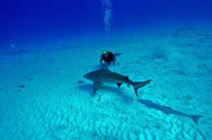 best scuba-diving sites in Mexico
