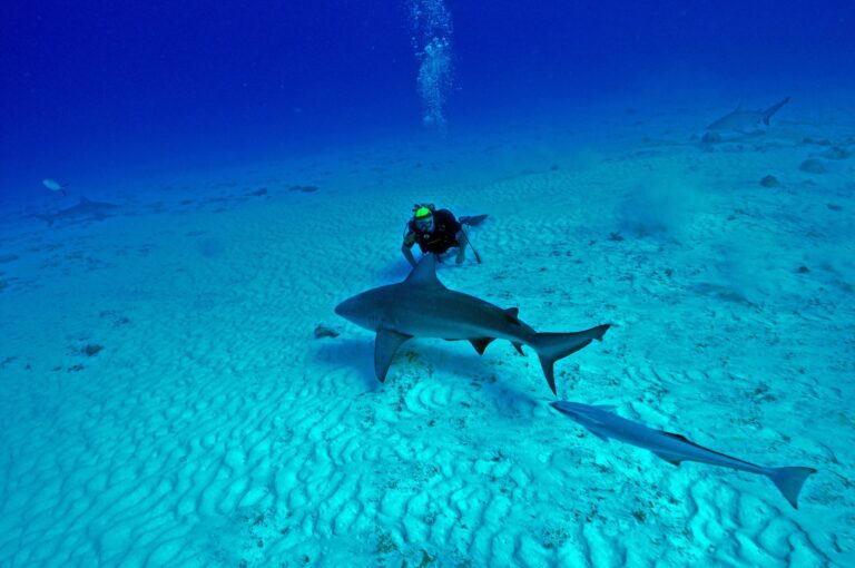 best scuba-diving sites in Mexico