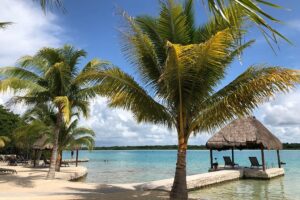 MExplor Cancun delays beach opening