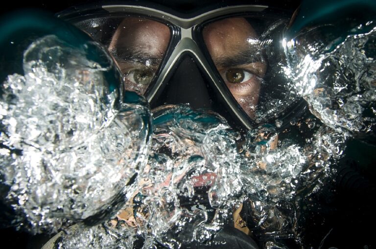 Affordable Post-COVID 19 Dive Adventures - MExplor