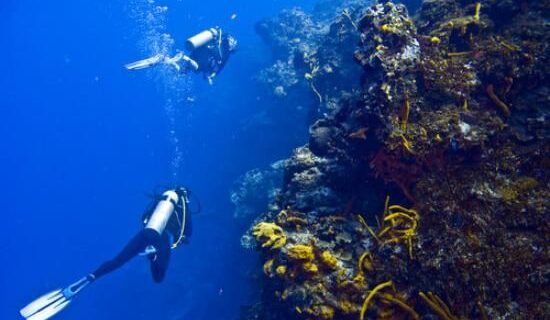 Santa Rosa Wall scuba-diving in Cozumel 2020