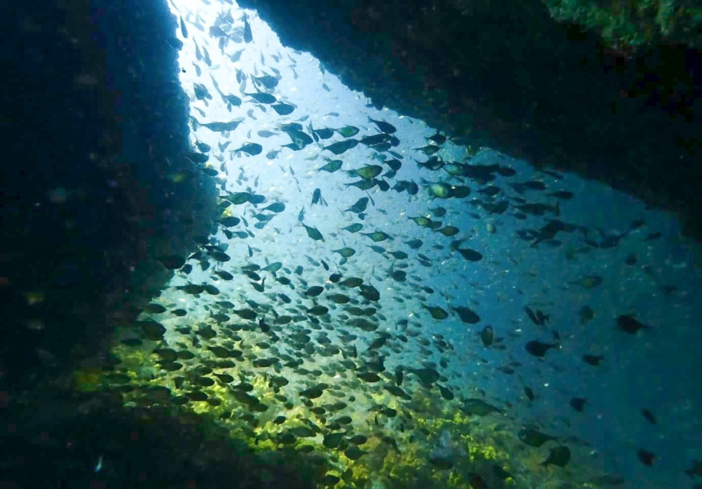 Shark Cave - Mergui Archipelago - MExplor Blog