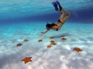 El Cielo - Best snorkeling in Cozumel- Mexico Travel Guide BLOG