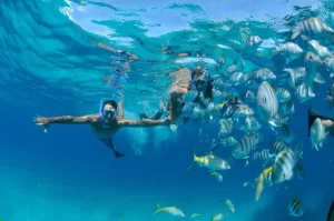 Diving