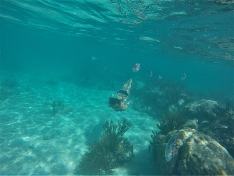 Riviera Maya Snorkeling