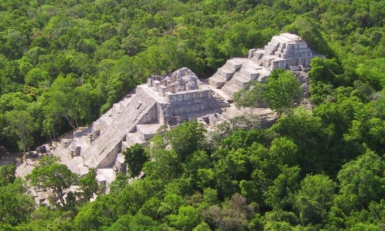 Calakmul Pyramid - Mexico
