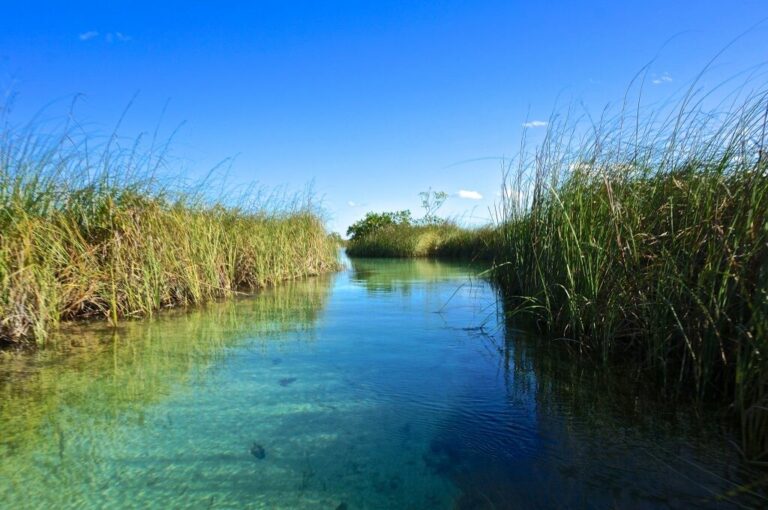 Sian Ka'an biosphere reserve