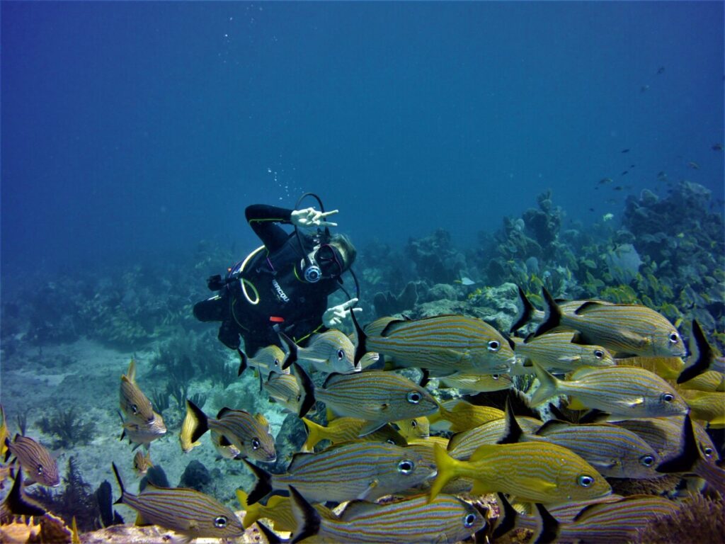 Diving in Puerto Morelos