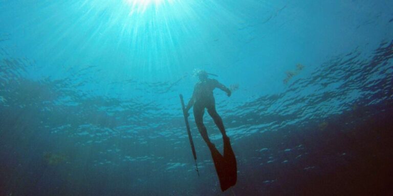 Spearfishing Cancun
