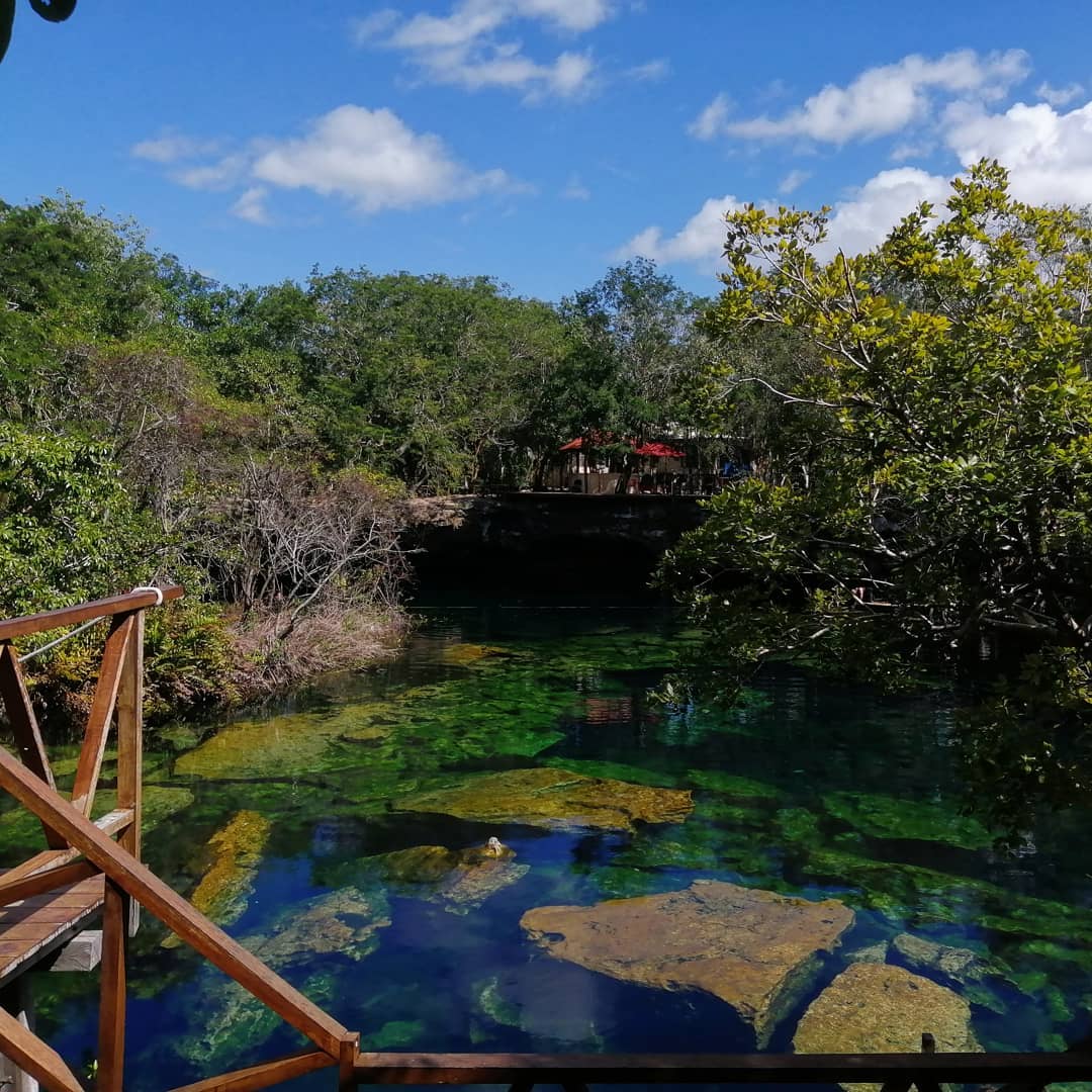 Cenote Jardín del Edén cenotes más populares