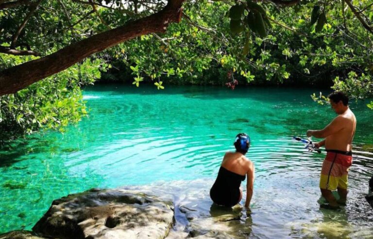 mejores cenotes de Playa del Carmen