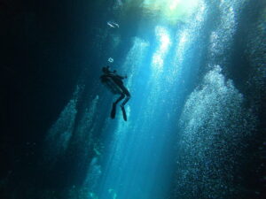 Buceo