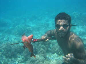 MExplor Diving