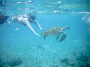 Diving
