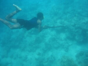 MExplor Diving