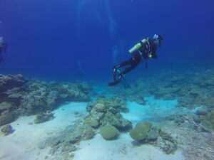 dive, diver, scuba