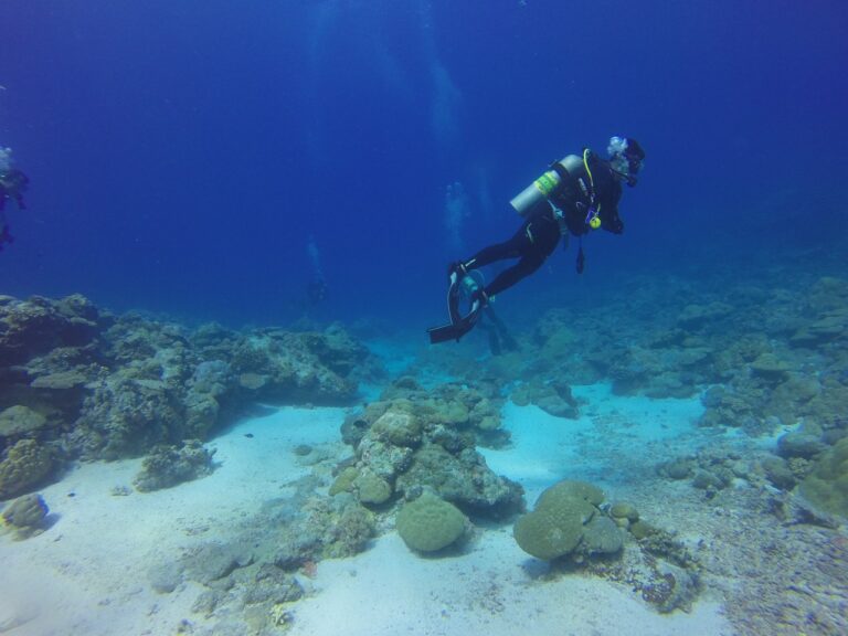 dive, diver, scuba