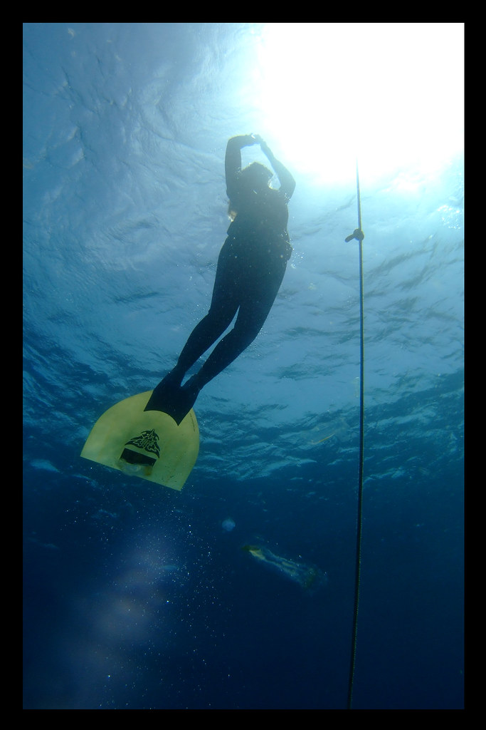 MExplor Diving