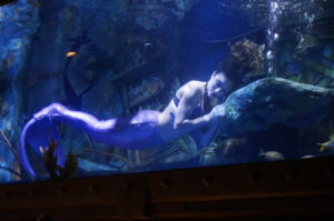 Diving