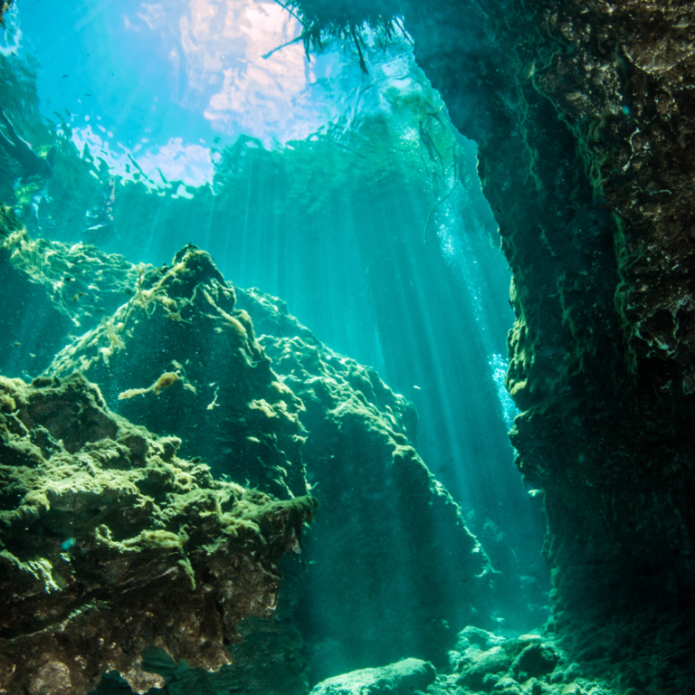 MExplor Diving