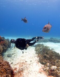 Diving