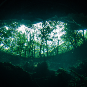 Diving