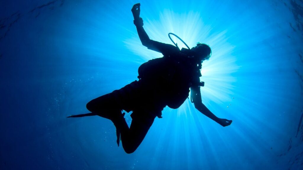 Buceo