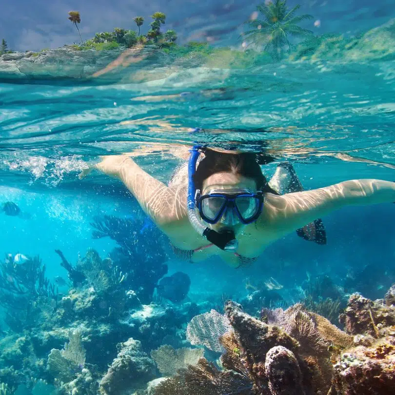 MExplor Diving