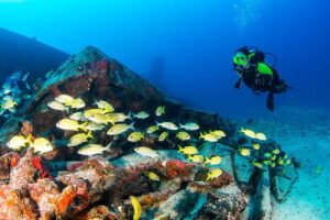 Diving