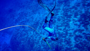 MExplor Buceo