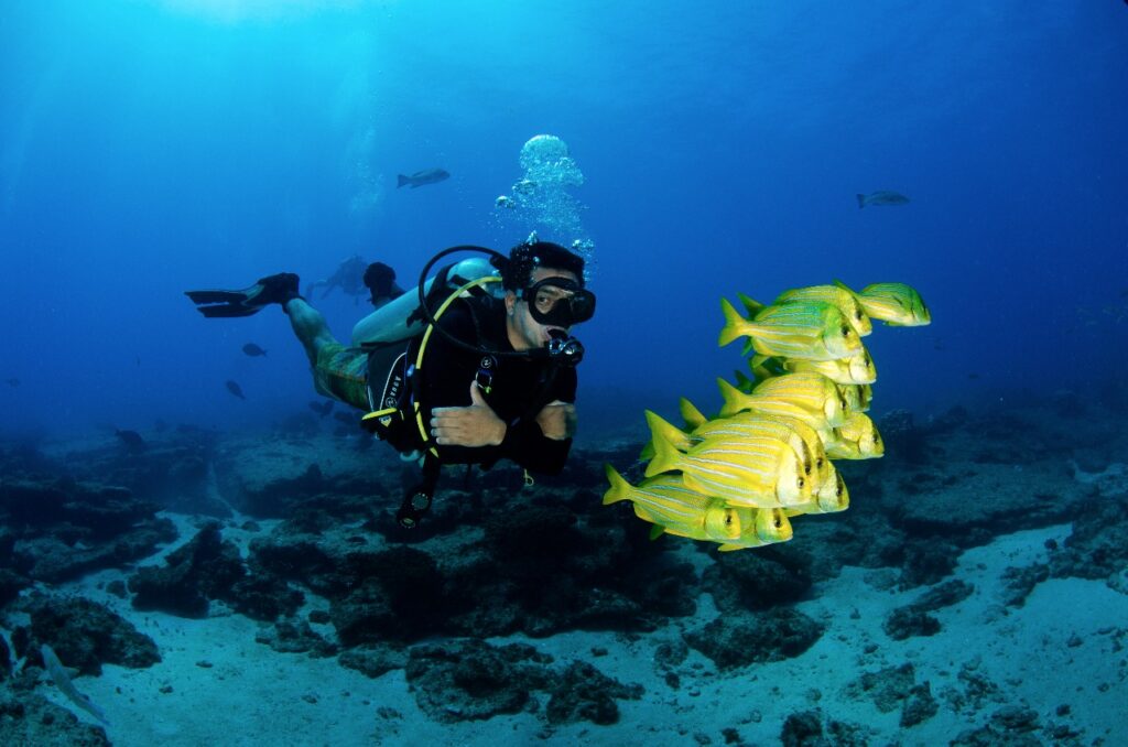 MExplor Diving