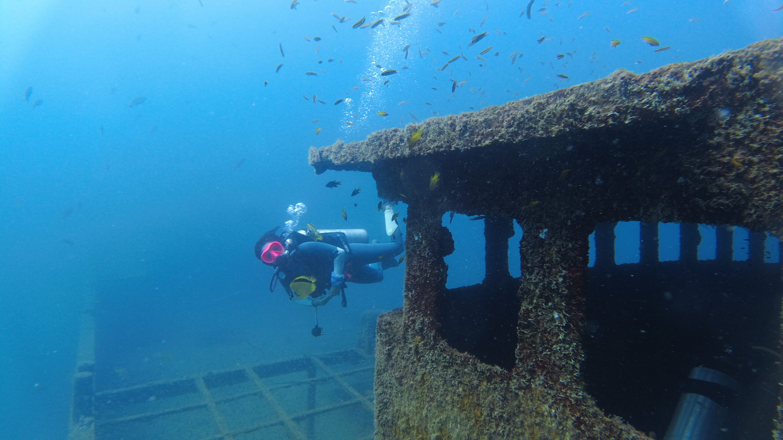 MExplor PUERTO MORELOS WRECK DIVE Sinked Ship (2 TANKS) - Image 4