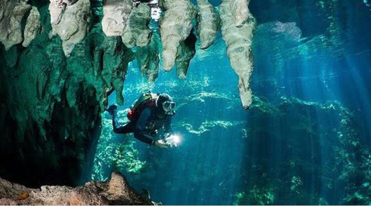 MExplor Diving