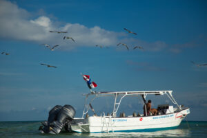 MExplor Diving