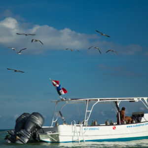 Bottom and trolling (small boat)