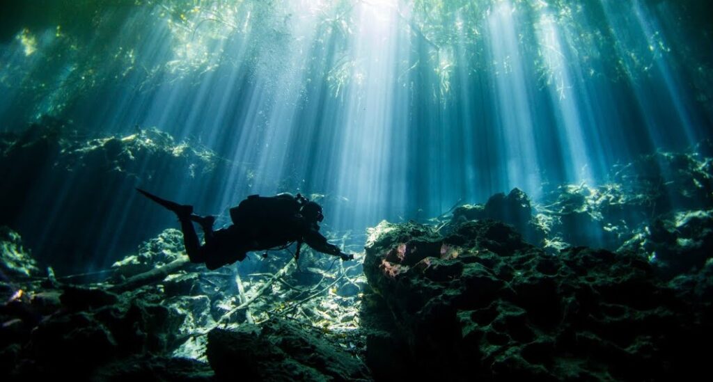 MExplor Diving