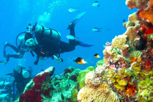 MExplor Diving