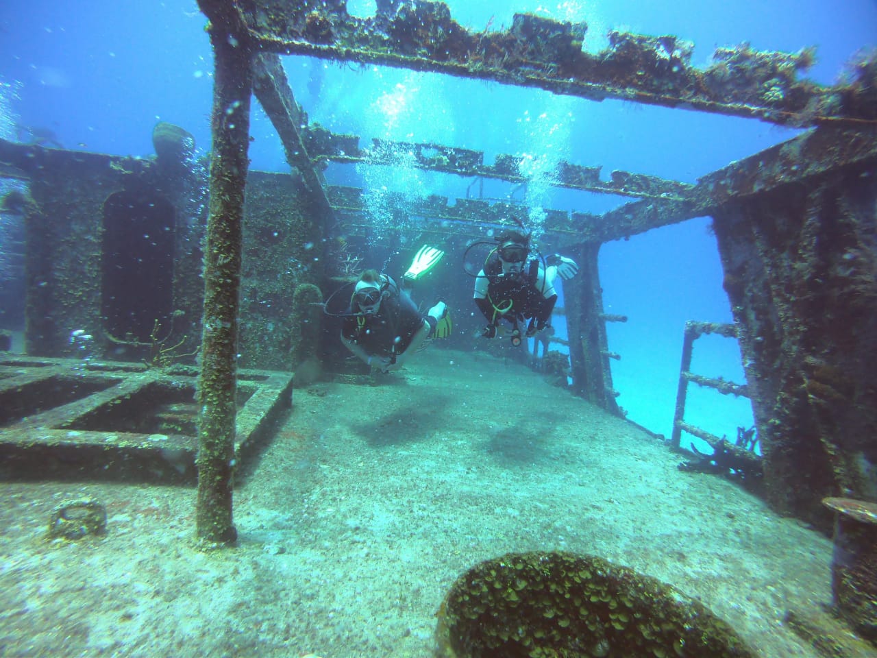 MExplor PUERTO MORELOS WRECK DIVE Sinked Ship (2 TANKS) - Image 6