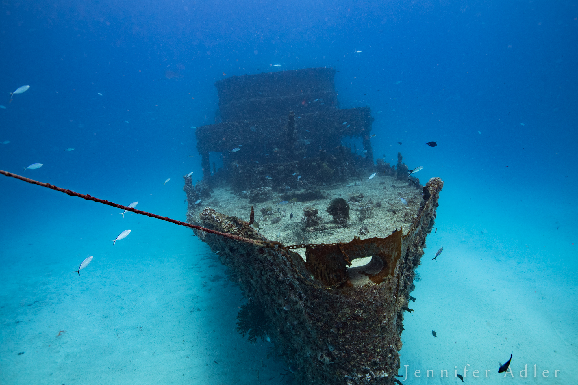 MExplor PUERTO MORELOS WRECK DIVE Sinked Ship (2 TANKS) - Image 7