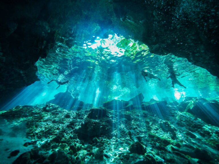 DIVING COZUMEL