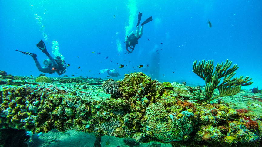Diving