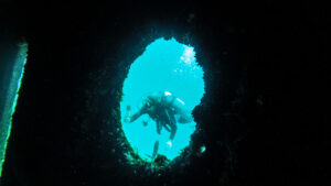 MExplor Diving