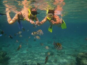 Diving