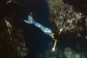 Diving