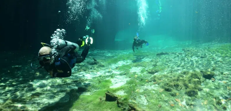 MExplor Diving