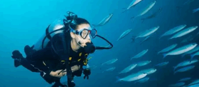 MExplor Diving