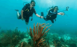 Diving