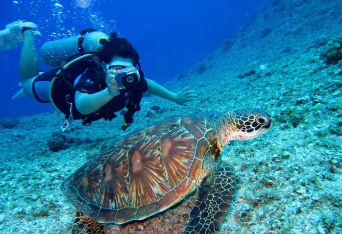 Diving