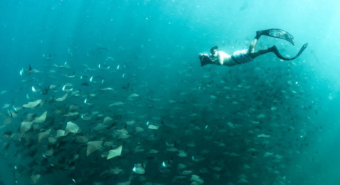 MExplor Buceo