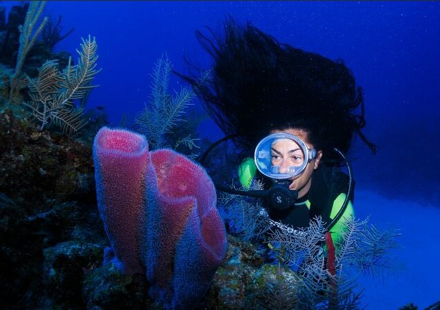 Diving